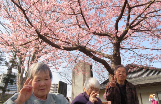 綺麗な桜の下で記念撮影